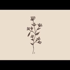 Meet your Posher, Caitlin